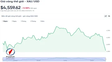 هل يمثل انخفاض أسعار الذهب الحالي فرصة مثالية للشراء في الأسواق؟